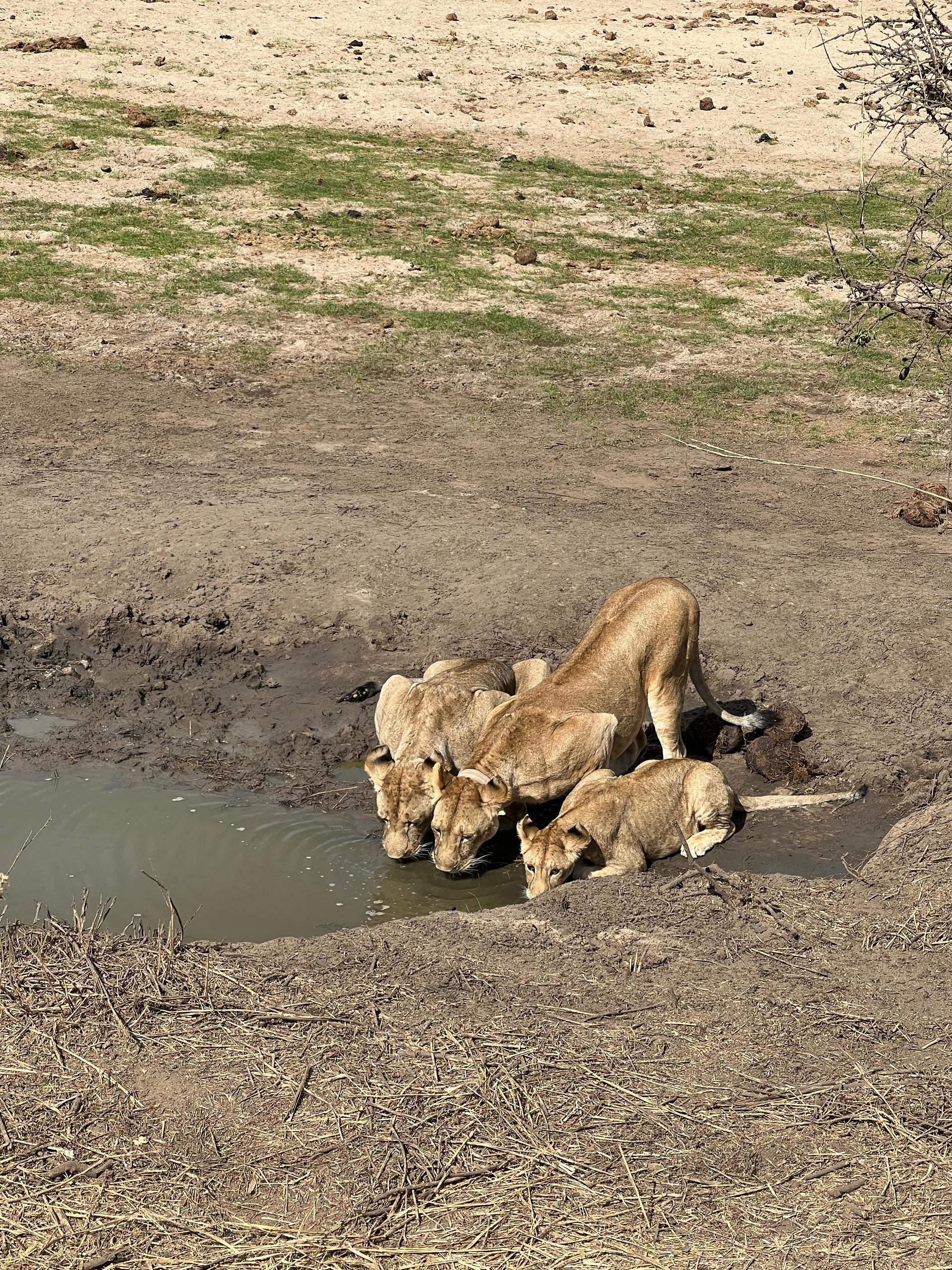 Tanzania