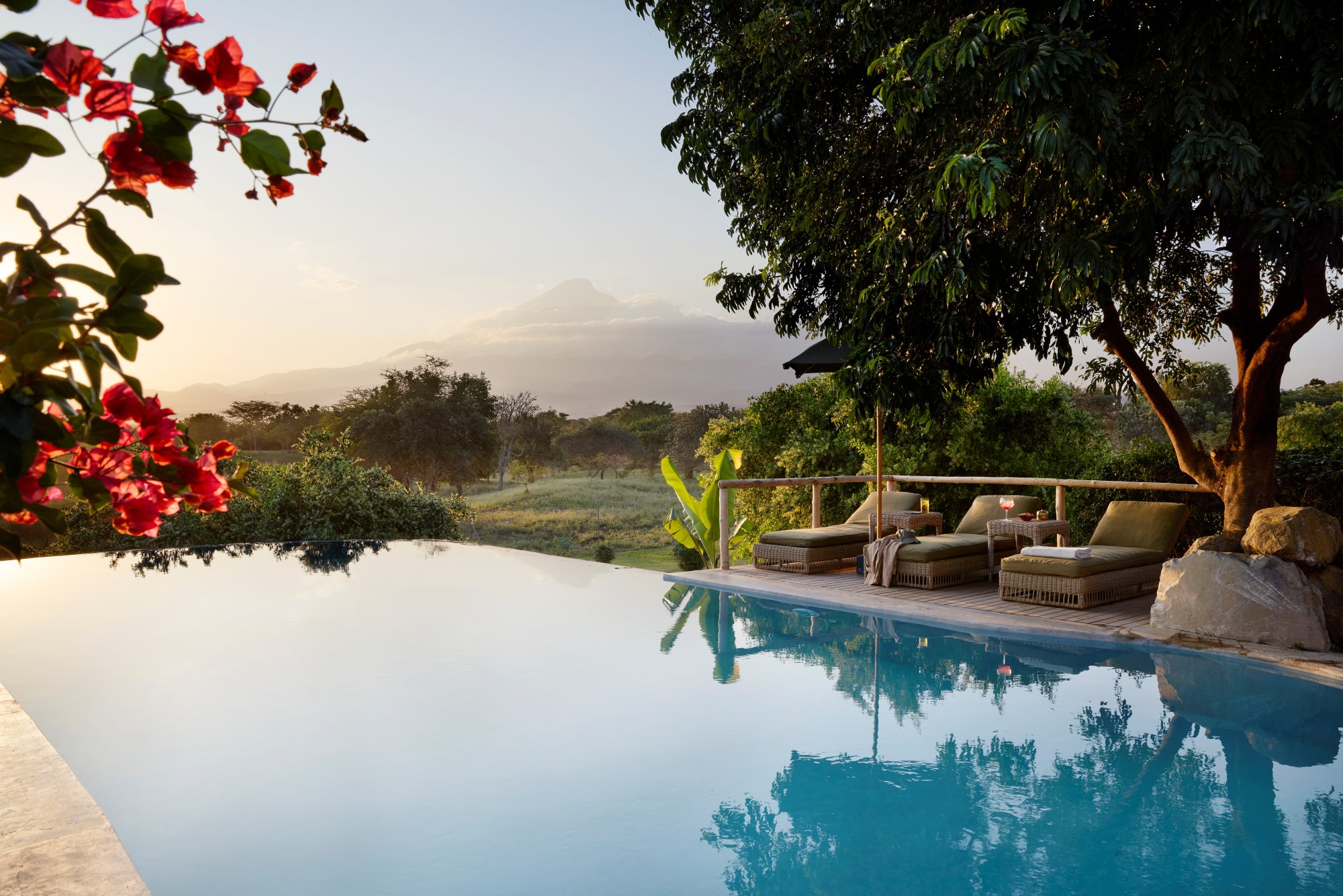 Art of Tanzania Safari