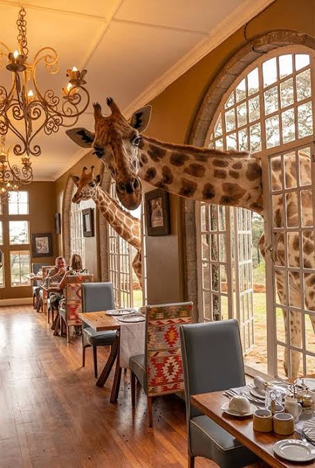 Quintessential Kenya