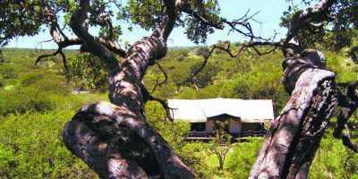 Serengeti Migration Camp Bedroom