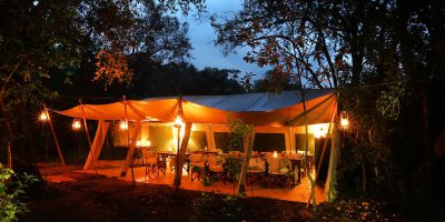 Nairobi Tented Camp 9512
