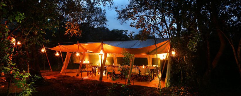 Nairobi Tented Camp 9512